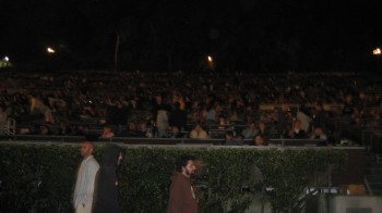 The crowd